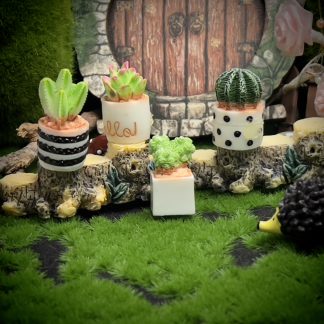 Succulent Garden Magnets